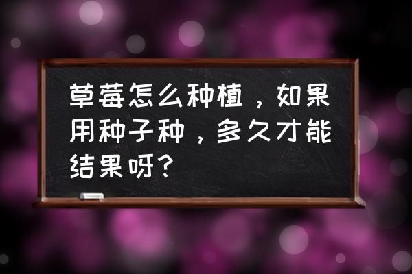 自制草莓籽 草莓怎么种植，如果用种子种，多久才能结果呀？