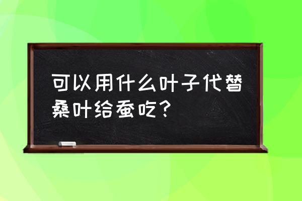 没有桑叶养蚕怎么补救 可以用什么叶子代替桑叶给蚕吃？