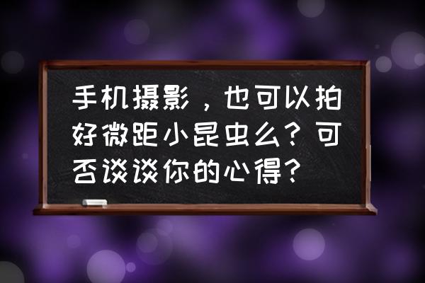 手机微拍方法 手机摄影，也可以拍好微距小昆虫么？可否谈谈你的心得？