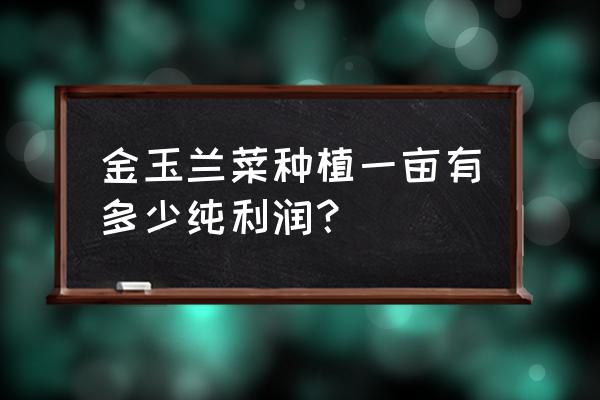 种植白菜一亩一年能赚多少钱 金玉兰菜种植一亩有多少纯利润？