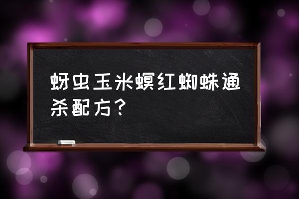 红蜘蛛蚜虫的防治方法 蚜虫玉米螟红蜘蛛通杀配方？