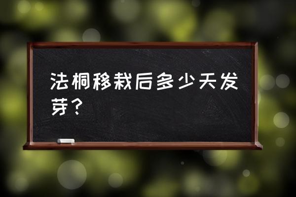 热天移栽法桐的最好办法 法桐移栽后多少天发芽？