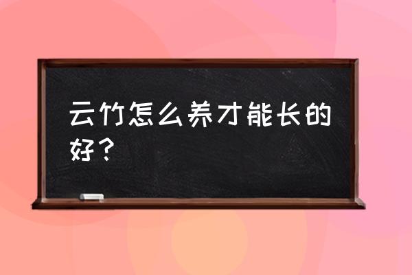 云竹用哪种土最好 云竹怎么养才能长的好？