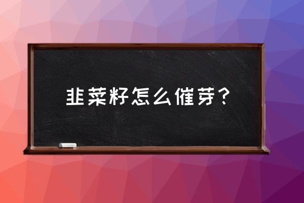 韭菜种子直接种下去多久发芽 韭菜籽怎么催芽？