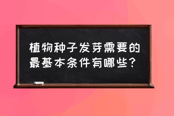 种子怎么做才能发芽 植物种子发芽需要的最基本条件有哪些？