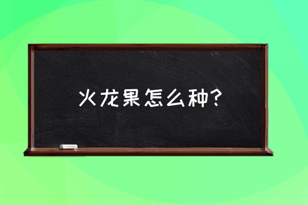 火龙果在阳台上种怎么才会成活 火龙果怎么种？