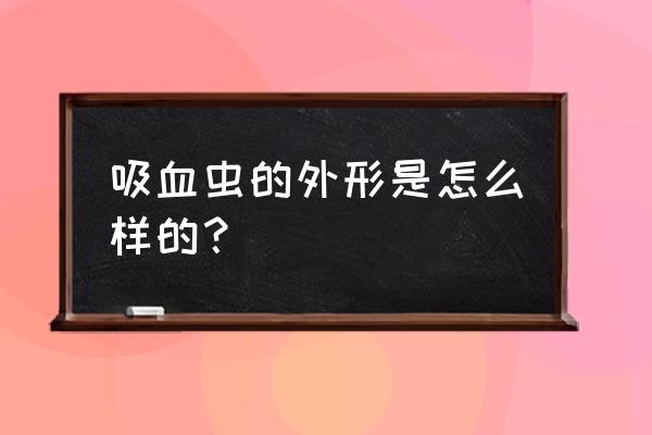 羊得血吸虫病有什么症状 吸血虫的外形是怎么样的？