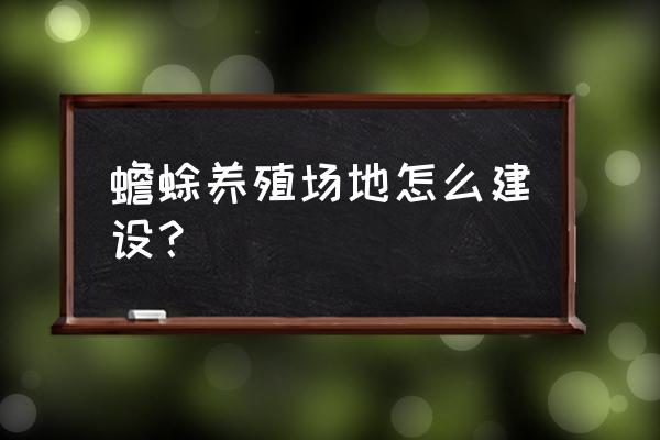 蟾蜍养殖教程 蟾蜍养殖场地怎么建设？