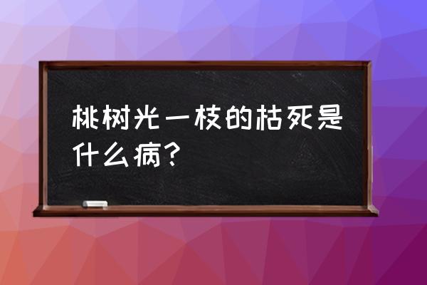 桃树根腐病为啥多发 桃树光一枝的枯死是什么病？