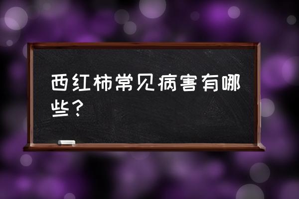 番茄病害一览表 西红柿常见病害有哪些？