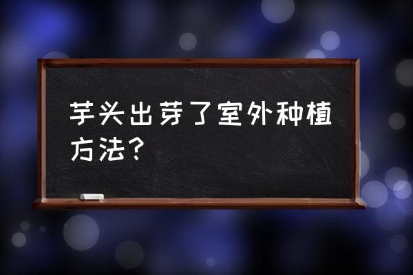 芋头发芽能不能吃啊 芋头出芽了室外种植方法？