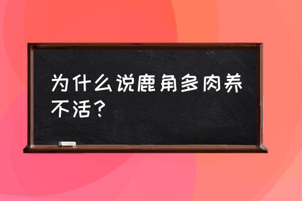 鹿角海棠适合用多大盆 为什么说鹿角多肉养不活？