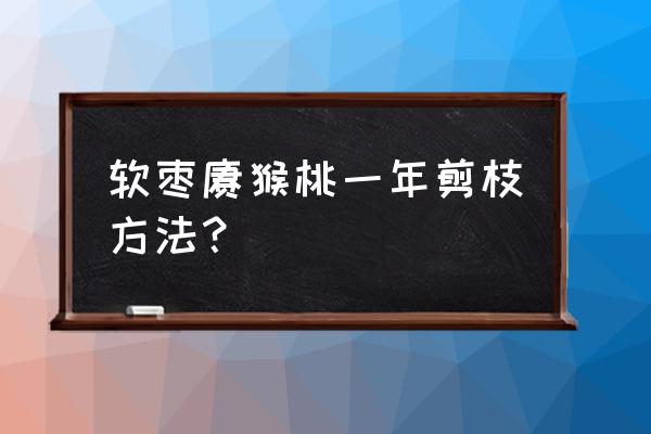 软枣猕猴桃是圆的好还是长的好 软枣猕猴桃一年剪枝方法？