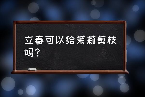 茉莉花是冬天修剪还是春天修剪 立春可以给茉莉剪枝吗？