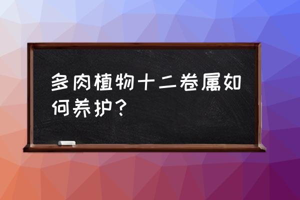 条纹十二卷不见阳光 多肉植物十二卷属如何养护？