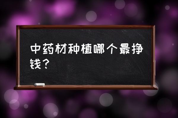 中药材套种新模式 中药材种植哪个最挣钱？