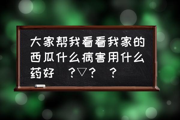 西瓜小苗期猝倒病打什么药安全 大家帮我看看我家的西瓜什么病害用什么药好(?▽?)？