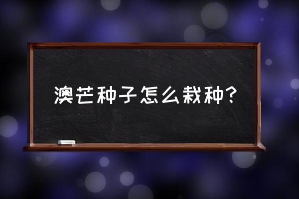 如何盆栽芒果种子 澳芒种子怎么栽种？