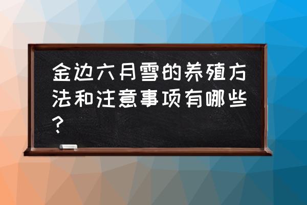 盆栽金边六月雪冬天怎么养 金边六月雪的养殖方法和注意事项有哪些？