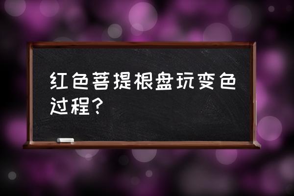 菩提子手串怎么盘容易上色 红色菩提根盘玩变色过程？