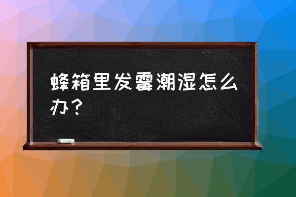 蜂子窝和什么消毒最好 蜂箱里发霉潮湿怎么办？