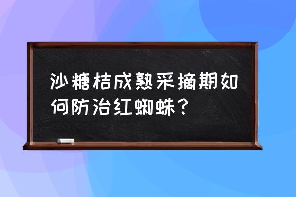 红蜘蛛爆发期在几月 沙糖桔成熟采摘期如何防治红蜘蛛？