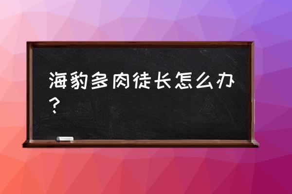 多肉只长高怎么补救 海豹多肉徒长怎么办？