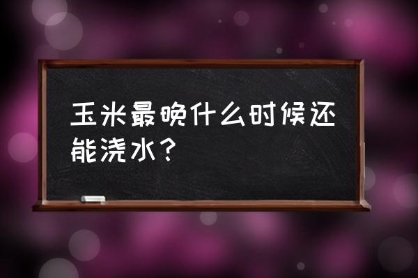 玉米第二次浇水时间 玉米最晚什么时候还能浇水？