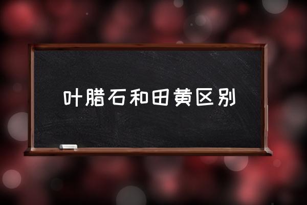 田黄萝卜纹放大照片 叶腊石和田黄区别