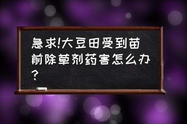 大豆激素类药害的原因及处理措施 急求!大豆田受到苗前除草剂药害怎么办？