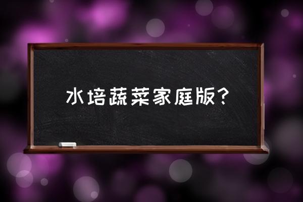 怎么在封闭阳台上种生菜 水培蔬菜家庭版？