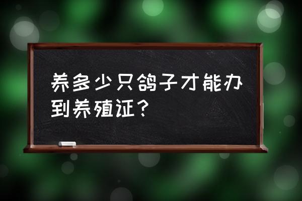 肉鸽养殖证如何办理流程图 养多少只鸽子才能办到养殖证？