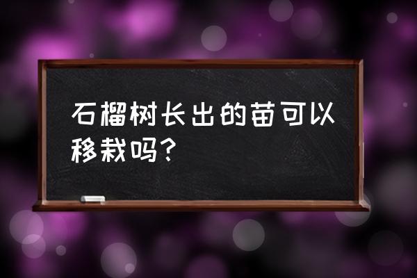 移栽石榴树的最佳时间 石榴树长出的苗可以移栽吗？