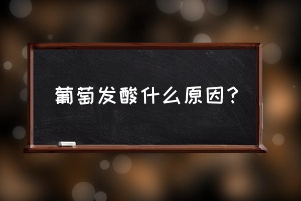 影响葡萄品质八大因素 葡萄发酸什么原因？