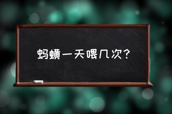 蚂蟥养殖吃什么饲料 蚂蟥一天喂几次？