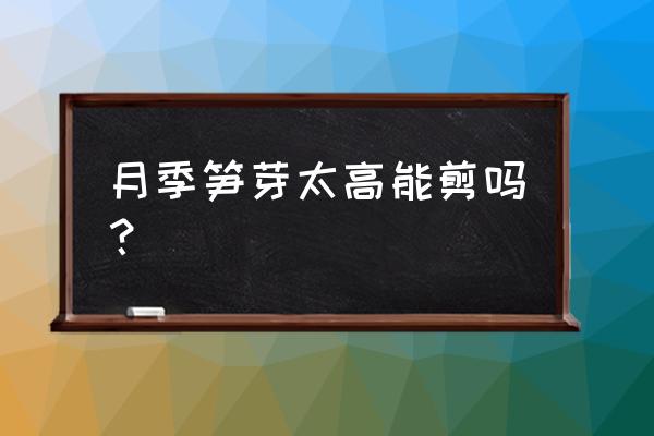 月季长太高了什么时候修剪 月季笋芽太高能剪吗？