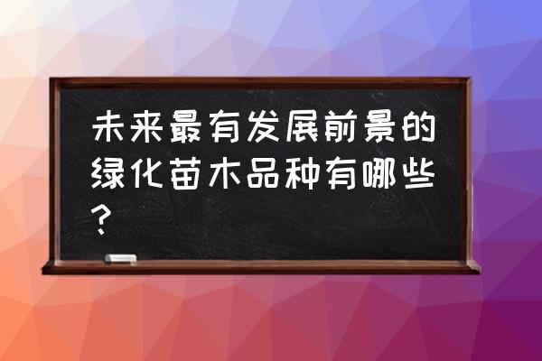 园林绿化的苗木品种如何选择 未来最有发展前景的绿化苗木品种有哪些？