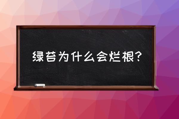 死苗烂根最难治的土传病害 绿苔为什么会烂根？