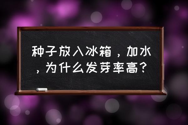 怎样自制种子催芽箱 种子放入冰箱，加水，为什么发芽率高？