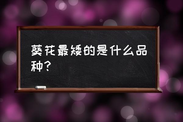 种矮向日葵的方法和步骤 葵花最矮的是什么品种？