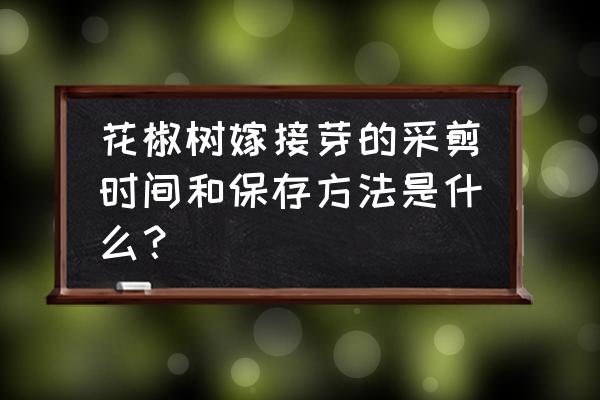 花椒树几月栽最好 花椒树嫁接芽的采剪时间和保存方法是什么？