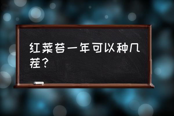 怎么选红油菜苔种子 红菜苔一年可以种几茬？