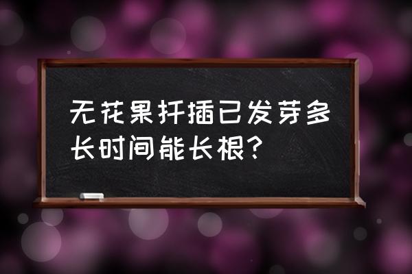 无花果种子催芽几天发芽 无花果扦插已发芽多长时间能长根？