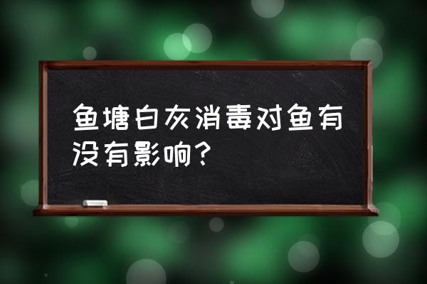 鱼塘撒生石灰发现鱼死怎样解决 鱼塘白灰消毒对鱼有没有影响？