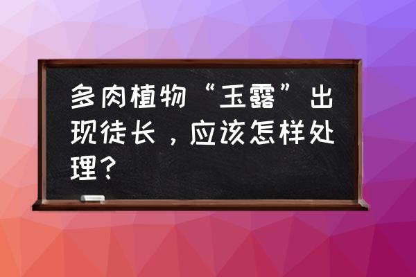 玉露徒长严重怎么修复 多肉植物“玉露”出现徒长，应该怎样处理？