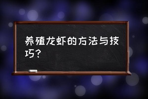 龙虾养殖场的条件和要求有哪些 养殖龙虾的方法与技巧？