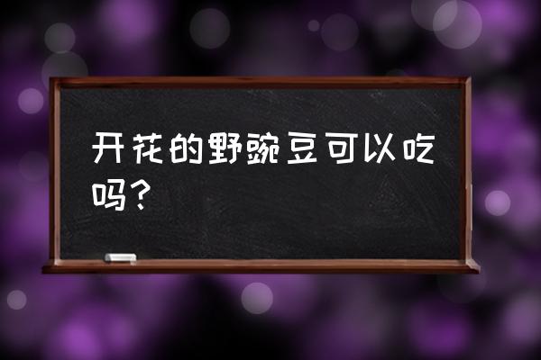 野豌豆苗吃了有什么好处 开花的野豌豆可以吃吗？