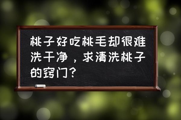 怎样洗桃才能把桃洗得干干净净 桃子好吃桃毛却很难洗干净，求清洗桃子的窍门？