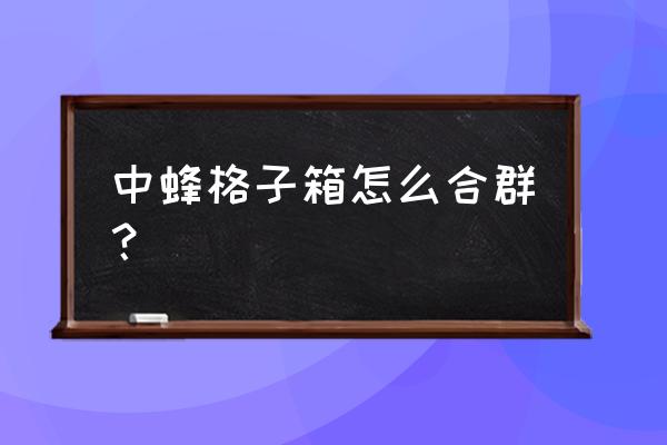 格子箱养蜂怎么把蜂群放进去 中蜂格子箱怎么合群？