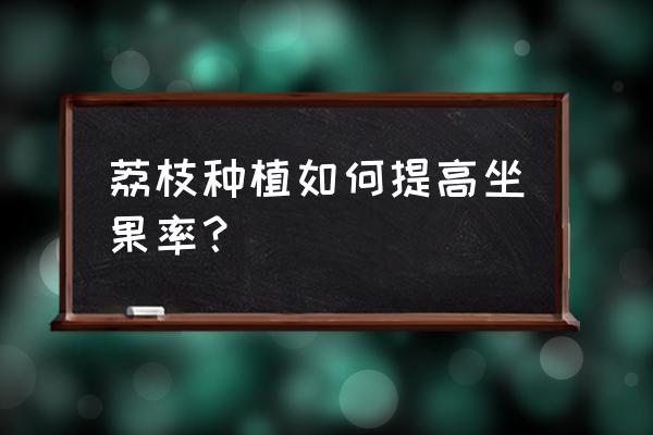 荔枝小苗如何培养成大苗 荔枝种植如何提高坐果率？